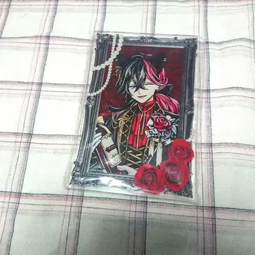 악마고양이 난자 루카스