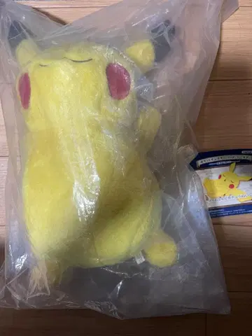 포켓몬스터 소드 실드 출시 기념 복권 B상 피카츄 봉제 인형