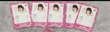 에비하라 북 아이돌 사진 5장 세트