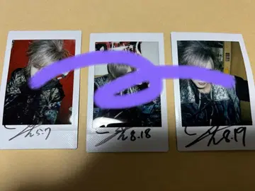 XANVALA 타츠미 폴라로이드