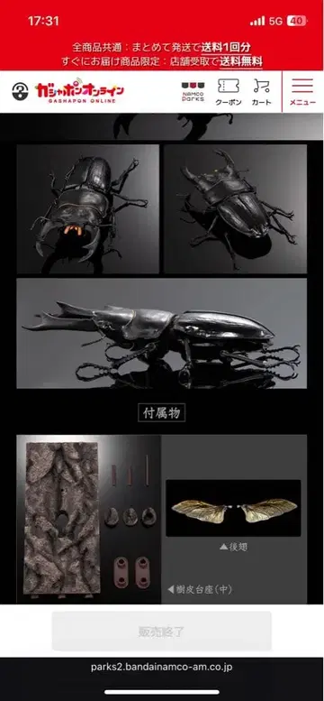 온라인판 생물대도감 어드밴스 사슴벌레 02 오오쿠와가타