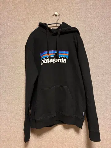 Patagonia 후드티