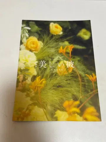 아름다운 그 이터널 영화 팜플렛