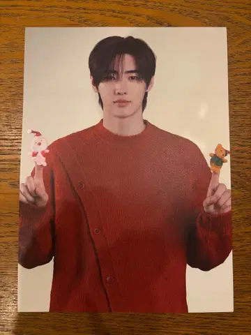 ENHYPEN WORLD 팝업 럭키 드로우 미니 포스터 성훈