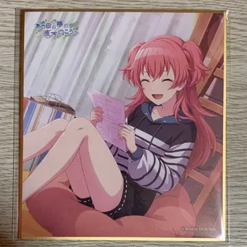 프로세카 모모이 아이리 색지 29A