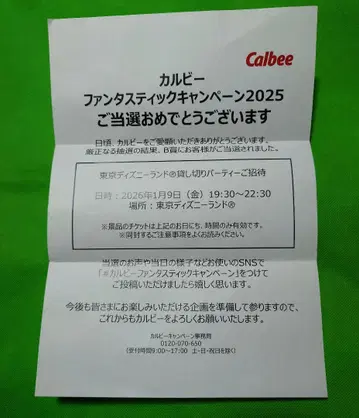 도쿄 디즈니랜드 대관 카루비 초대 2명 디즈니