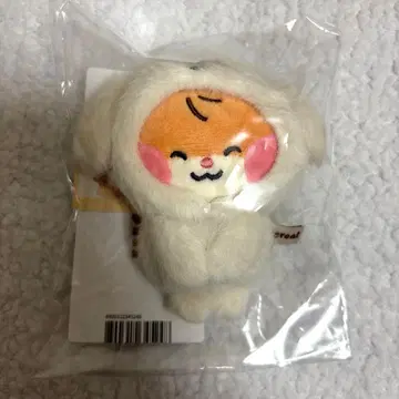 비니니 마그넷 사진 홀더 binini zeroni 한빈 제로니