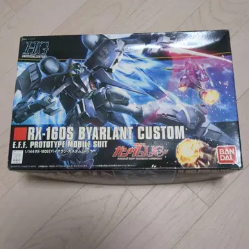 HG 1/144 바이아란 커스텀