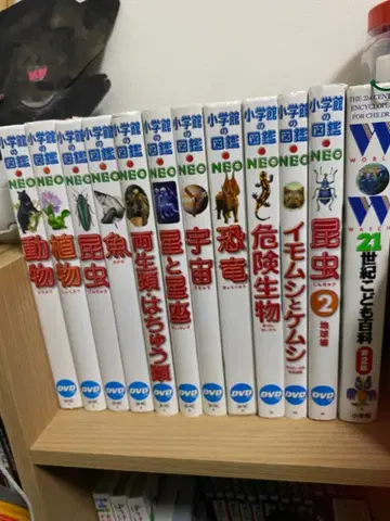 소학관의 도감 NEO 덤 도감 명작 영화 DVD