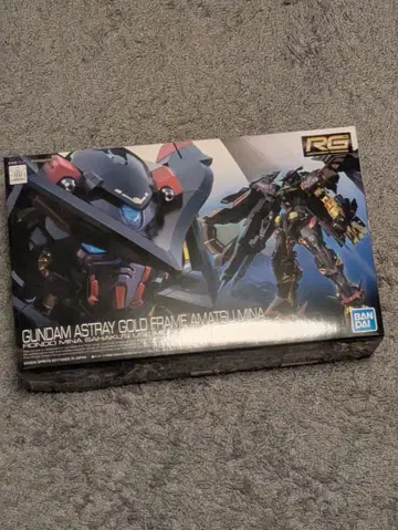 RG 아스트레이 골드 프레임 아마츠 미나