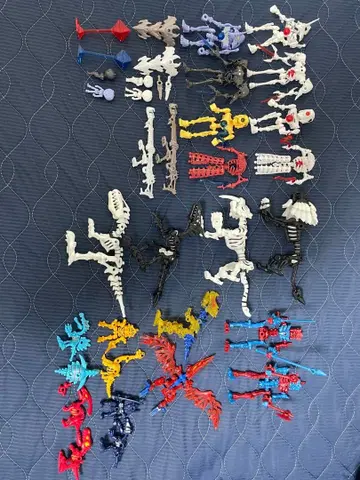 호네호네 자우르스 묶음 판매