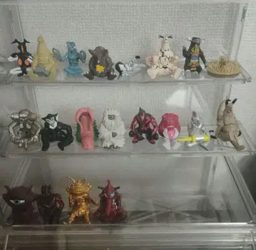 괴수 기다림 1부터 5 컴플리트 전 종류