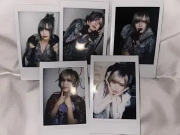 가와무라 유세이 폴라로이드