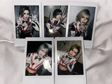 카와무라 유세이 폴라로이드