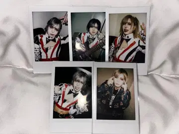 가와무라 유세이 폴라로이드