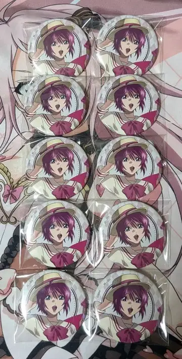 건담 SEED FREEDOM 캔뱃지 루나마리아 10점