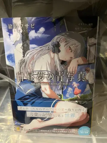 백일몽의 청사진 친필 사인 도서 혜택 포함 오노 와사비