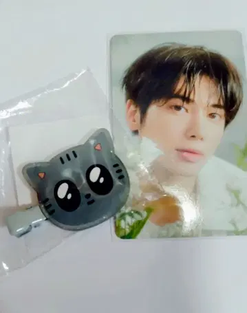 txt 캡슐 토이 다고냥 헤어 클립 뿔바투