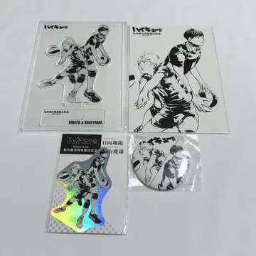 하이큐 센다이 관광 특사 히나타 카게야마