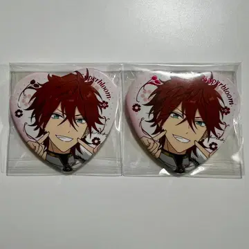 앙스타 스타포니 캔뱃지 린네