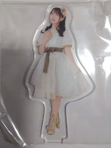 NANA MIZUKI 아크릴 스탠드 2025-20264