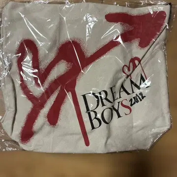 DREAM BOYS 2012 토트백