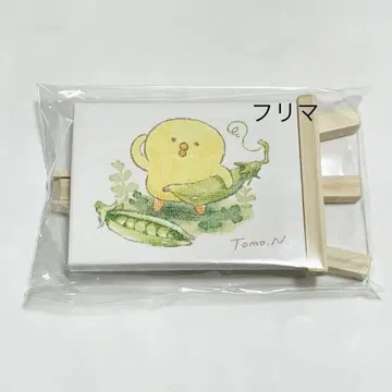 삐요코콩 트레이딩 미니 캔버스 마그넷 시크릿