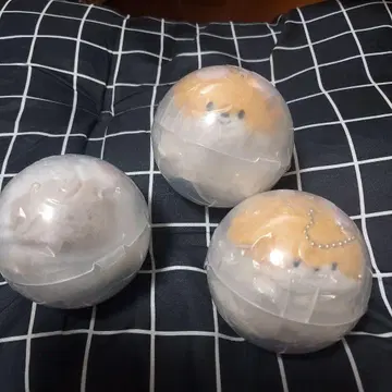 치라리즈 3개 세트