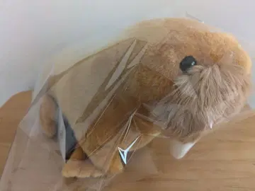 [ 새상품 ] 이세 파라다이스 바다코끼리 봉제 인형 수족관 봉제 인형