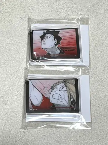 하이큐 팬파크 아크릴 키링