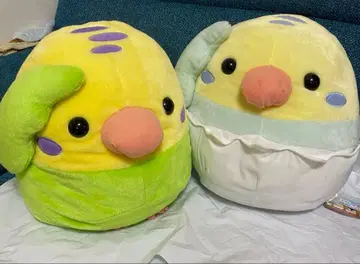 코토리타이 깃털새 잉꼬 빅 사이즈