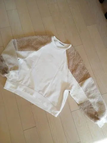 스트라디바리우스 속기모 트레이닝복