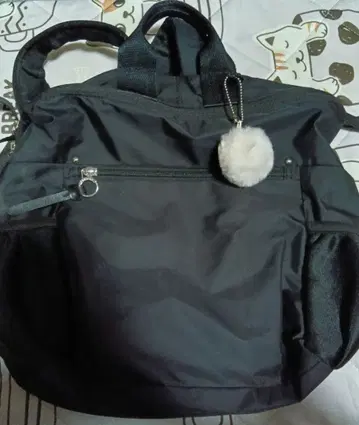 카나나 프로젝트 블랙 백팩