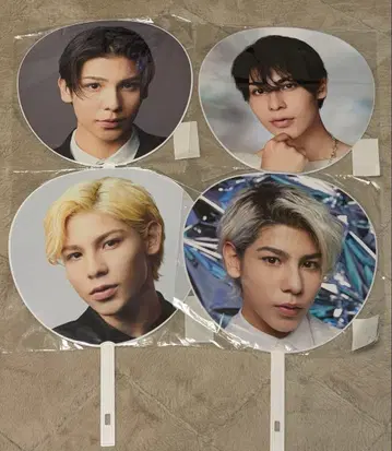 SnowMan 라울 부채 4장 세트