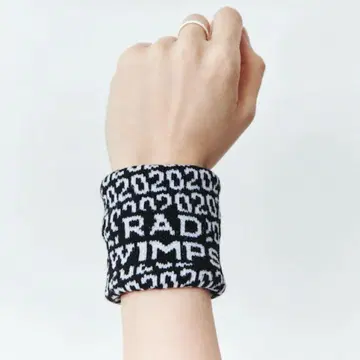 RADWIMPS 2020 리스트 밴드