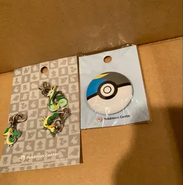 포켓몬 센터 트리토돈 릴리요 겔가 문 배지