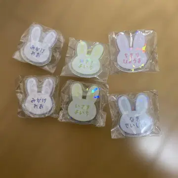 토끼형 홀로그램 핀 배지 6개 세트 블루 록