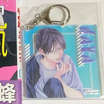 아크릴 키링 봄의 폭풍과 몬스터 아마네 카야 멜론북스 봄몬