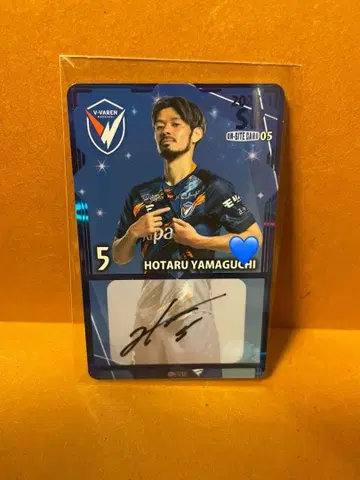 비파렌 나가사키 야마구치 호타루