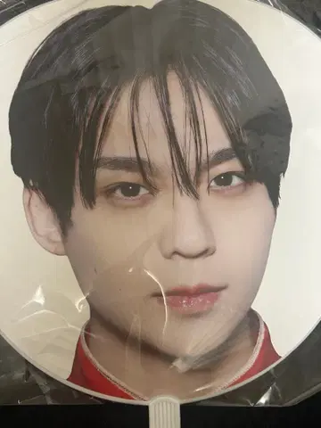 사와무라 레이 부채 EBiDAN THE LIVE 2025