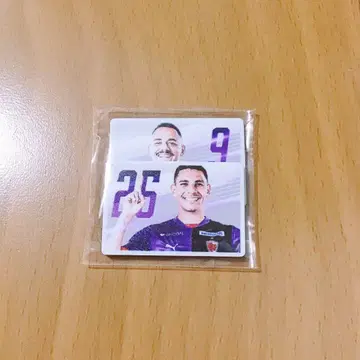 라파엘 엘르 레오고메스 사진 마그넷 교토 산가 가챠