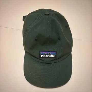 patagonia 다크 그린 캡