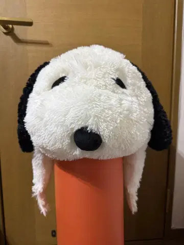 USJ 스누피 모자