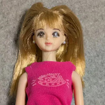 뉴제니 인형 헤이세이 레트로