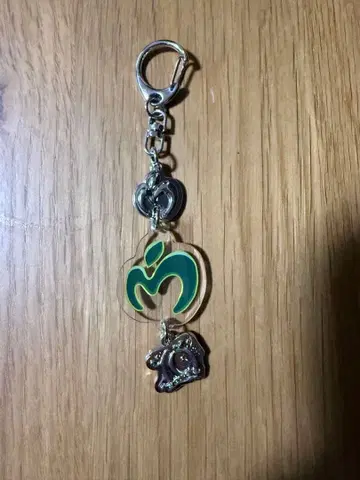 Mrs. GREEN APPLE 랜덤 참 키링 A