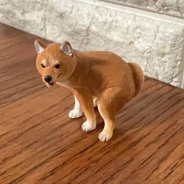 굼벵이 시바견 가챠가챠 타카라토미아츠 캡슐 토이 굼벵이