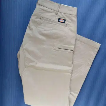 Dickies 워크 팬츠