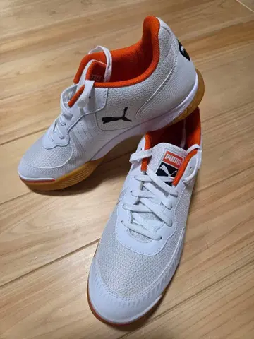 Puma 트레이닝 슈즈, 풋살화