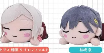 러브 라이브 누워있는  카츠라기 이즈미 세라스 세가 UFO 한정 세트