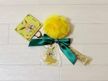 키링 Eevee 컬렉션 썬더스 이브이 컬렉션